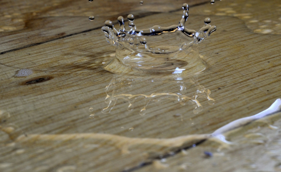 Dégât des eaux : le constat par commissaire de justice permet de prouver les dommages et de sécuriser vos droits face à l’assurance et au voisinage.